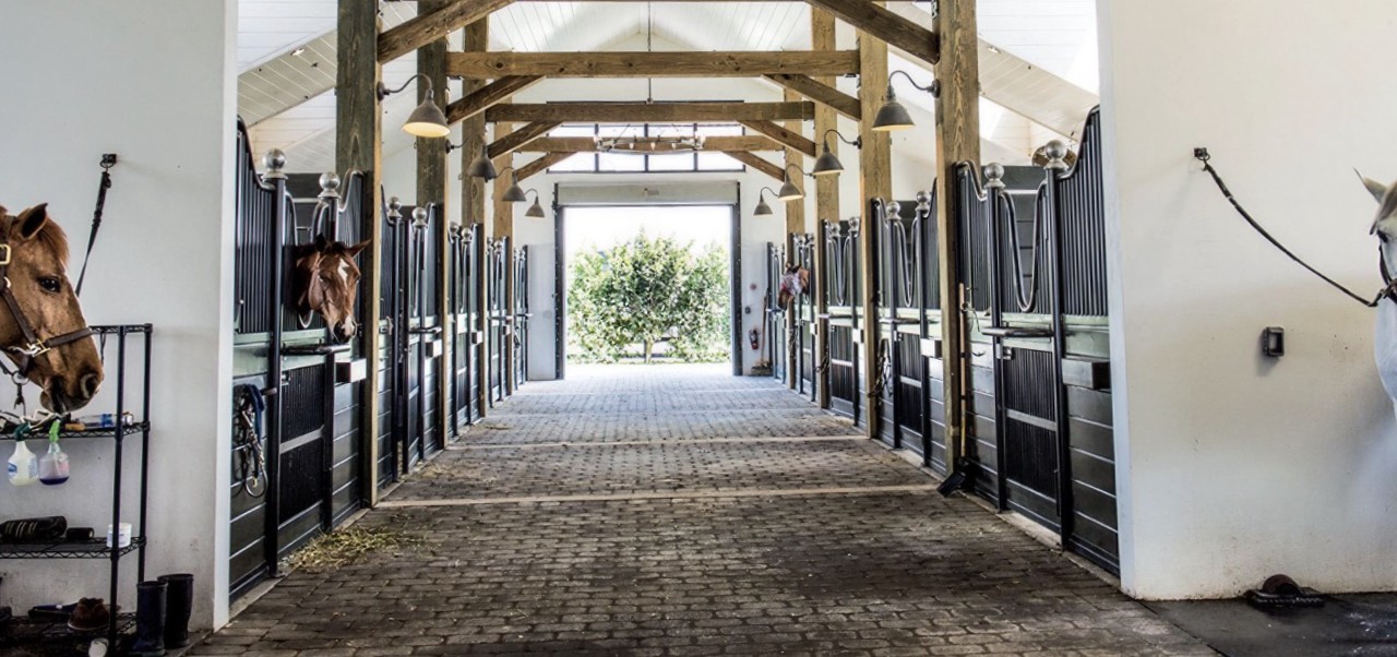 Barn-aisle photo
